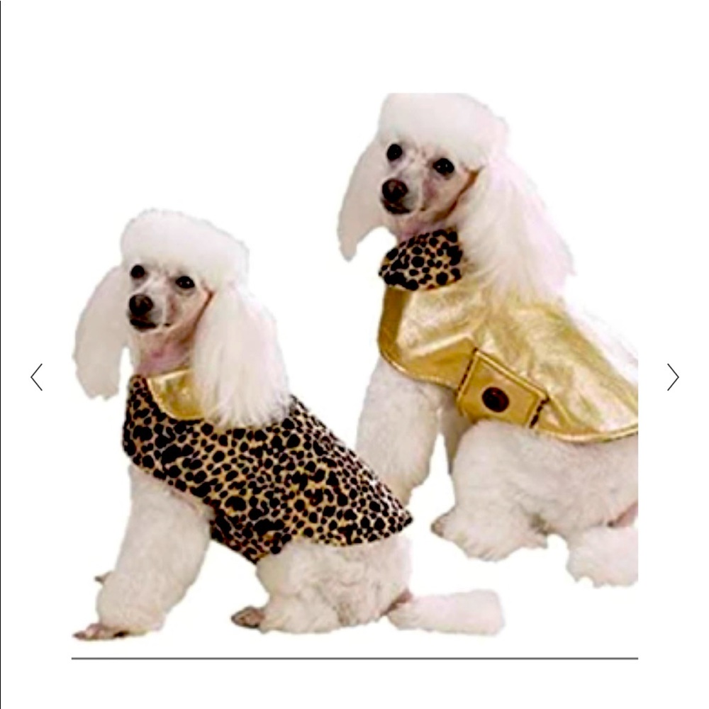 Dog Coat Zack&Zoey Goldie Coat Fully Reverses to a Leopard Side With Gold Collar